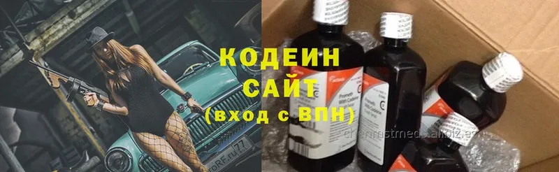 Кодеин Purple Drank  купить закладку  Челябинск 